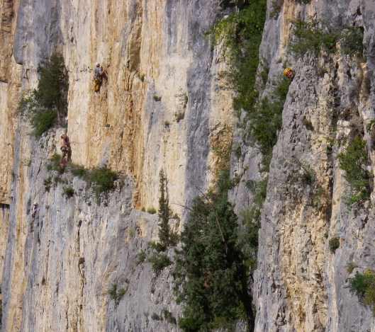 singes en hiver Bram en Tim in de 2de lengte van 'Singes en hiver' (6b). Sanne komt ook eens piepen