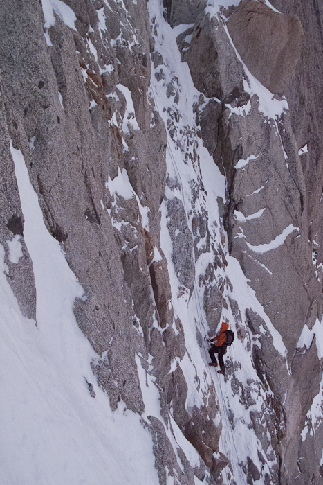 Nelson in de 2de lente van Charlet-Bettembourg