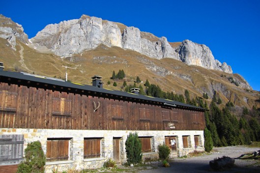 101106_CHAM_IMG_3712