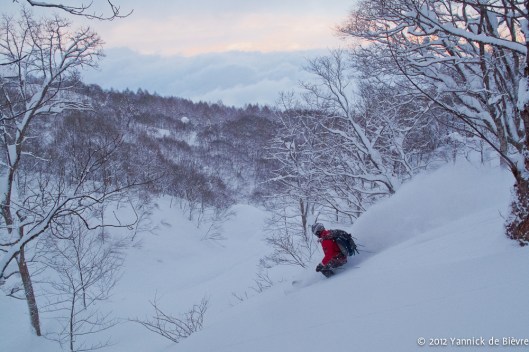 120126_JAPA_IMG_0681