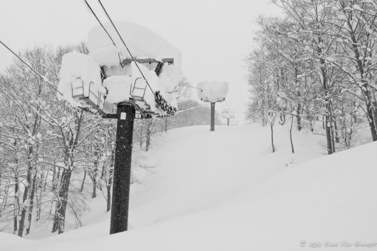 120126_JAPA_IMG_4218