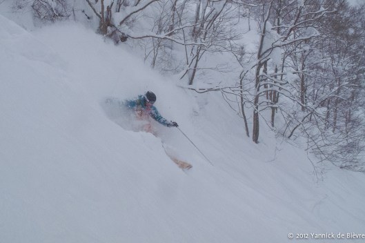 120127_JAPA_IMG_0688