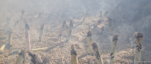 120129_JAPA_IMG_4279