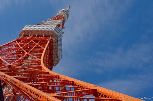 120130_JAPA_IMG_4333