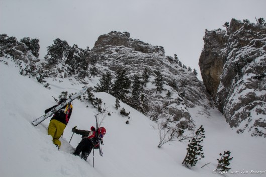 ...Of toch maar te voet?