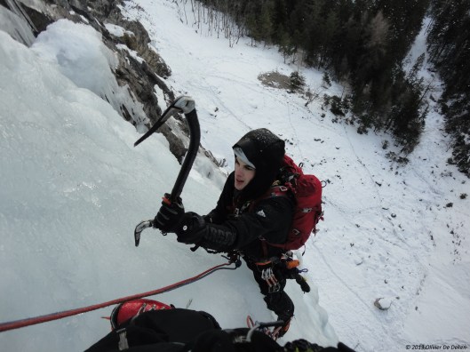 Maxime volgt in de eerste lengte van 'Arbonium'