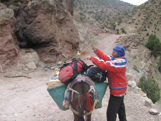 Ezels, het enige transportmiddel naar Taghia