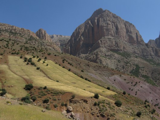 Oujdad en de graanvelden