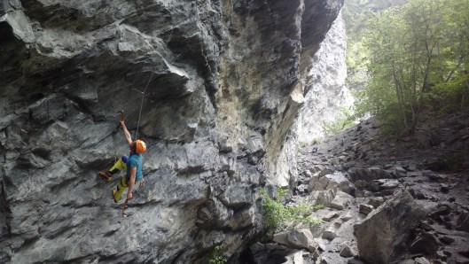 Friedemann in Le Zoo M6