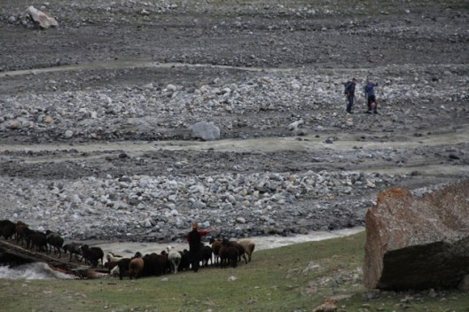 Traffic jam on the bridge ©Sanne