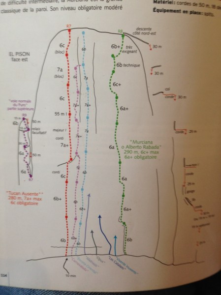 Carnavalada is de paarse lijn, de tweede van links © Denis 