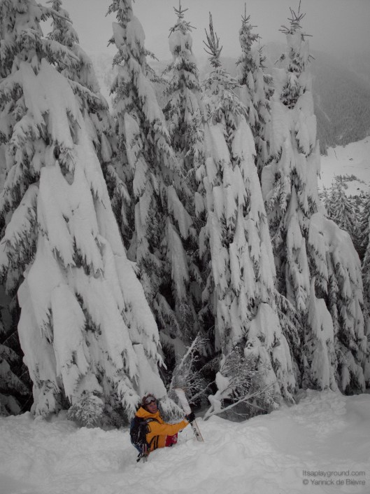 En bijna, bijna ook skiër ;-)