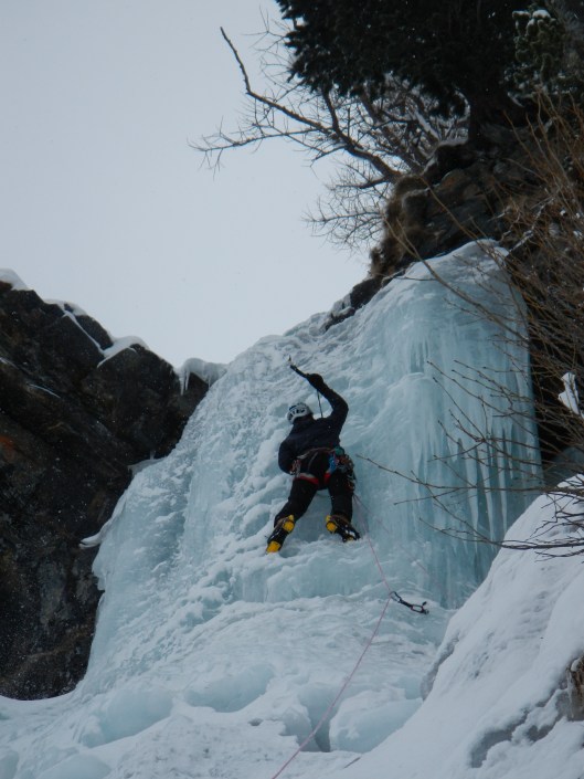 Andy in Chandele Levure