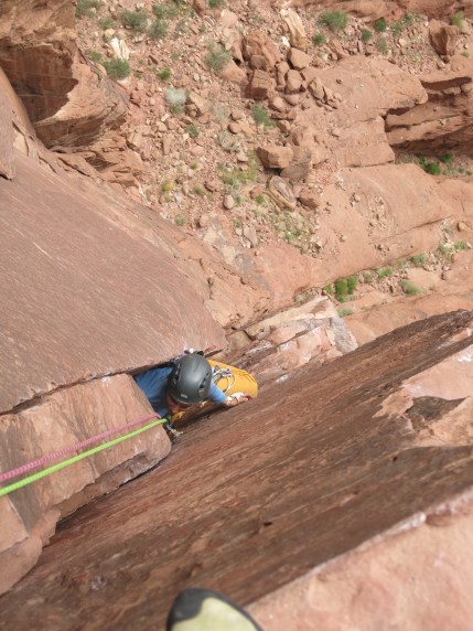 Squize.....Lionheart.