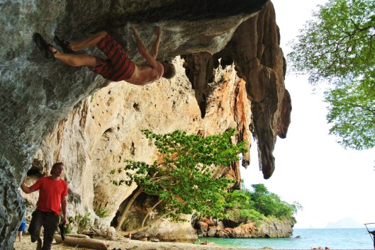 Dat we (Jasper en Aurélie) ooit eens naar Thailand zouden gaan stond al lang vast. Maar deze zomer bleken de tickets goedkoop waardoor de keuze snel gemaakt was. Het oorspronkelijke plan was 1 á 2 weken klimmen en dan nog wat cultuur opsnuiven. Met 2 rugzakken, eentje met klimgerief en één met de andere spullen vertrokken we richting Phuket. Dat het regenseizoen was werd ons de eeste dag direct duidelijk. De regen viel er een volledige dag non-stop uit de lucht. Op zo dagen is er dan ook niets anders te doen dan door te reizen naar de klimgebieden. Na een tussenstop in Koh Phi Phi kwame we aan op railay beach. Een schiereiland met zowel aan de kust als landinwaarts rotswanden. Ook het bekende Tonsai ligt op dit schiereiland.  FOTO: Tonsai wall vanaf Pranang beach FOTO: Wat is er beter om aan de klimsteil gewoon te worden dan wat te boulderen?  Het klimmen bij een minimum temperatuur van 30 graden blijkt er heel afwisselend te zijn. Je vindt er rechte muren, extreme overhangen, regletten en druipstenen. Na een dagje boulderen was het tijd voor de langere routes. Al snel merk je dat niet alle haken even stevig zijn. De klassieke plaquettes die overal terug te vinden zijn in de alpen blijken het hier maar 6 maanden uit te houden. Na een jaar blijft er niet meer dan en roestig spoor over. Van de grote massa klimmers, die waarschijnlijk enkel in het droog seizoen komen, was geen spoor te bespeuren. De rust aan de massieven in combinatie met het heerlijke eten en prachtige stranden maakt van deze plek een waar paradijs. Al werd dit even onderuit gehaald door een voedsevergiftiging. Maar meer dan een dagje ziekenhuis en een week diarree was het ook niet.  Voor Deep water soloing was de zee jammer genoeg niet rustig genoeg. Maar daarvoor keren we nog wel eens terug! FOTO: de dagelijke zonsondergang vanop Railay West FOTO: Klimmen in de jungle  FOTO: Aurélie waagt de overstap op One-two-three FOTO: Technisch klimmen op Escher wall FOTO: Opletten voor wespenesten en arrogante apen in Diamond Cave.  FOTO: Alles onder het toeziend oog van de beste klimmers van de streek! 2 weken later was het tijd om nog eens naar de alpen af te reizen. Ik zou er een 2tal weken met Jonas (MC3) beklimmingen proberen te realiseren. Maar zoals alom bekend zat het weer deze zomer niet echt mee. Na een acclimatietocht naar Grand Cornier vanaf Lac de Moiry in mooi weer sloegen de voorspellingen wat om. Enkele dagen gaan klimmen aan de grimselpas leek ons dan ook een mooi tussendoortje. In de gietende regen kwamen we aan in Gutannen. De volgende dag zouden we fair hands line klimmen. Een klassieker die al vanaf de eerste lengte niet zo eenvoudig leek als de topo aangeeft. Het opnieuw wennen aan moeilijk af te zekeren dalpassen zal hier misschien ook iets mee te makn hebben. Naarmate de lengtes volgen gaat het ook steeds vlotter en vlotter. Na de lange afdaling langs de trappen van de lift klommen we nog een korte route aan de ander kant van de vallei.  FOTO: Jonas op de graat van Grand Cornier.  FOTO: Jonas in één van de laatste lengtes van fair hands line FOTO: Ondanks het liften mochten we niet mee… De 2de dag vertrokken we vrij laat, opstaan lukt nog steeds niet zo goed, in de richting van Eldorado. Dit is een massieve rotswand op zo een 2u wandelen van de stuwdam. Iets voor 12u begonnen we te klimmen in Möterhead. De dalpassen blijken hier ook zeer sportief afgezekerd te zijn. De eerste lengtes gaan vlot tot in een dulferpas mijn rug opnieuw veel pijn begint te doen. Enkele lengtes verder kan ik bijna niet meer over mn schouder kijken. Rapellen lijkt de juiste beslissing en net voor de eerste regen staan we terug aan de auto.  FOTO: Jasper in de fijne vingerbarst van de 3de lengte van Möterhead.  Na nog een overschreiding van de la sage – pleureur en la luette in Wallis voelden we ons fit om eindelijk terug in te stijgen naar de leschaux-hut. De condities van de Croz-pijler op de noordwand van Grandes Jorasses bleken goed te zijn. Toen we echter in de gietende regen en ijzige wind aan de hut kwamen, werd deze beklimming ons echter afgeraden. Het zou de volgende dag goed weer zijn, maar ’s nachts opnieuw sneeuwen en de volgende dag kans op onweer. Bovendien zou de afdaling naar de boccalatte-hut levensgevaarlijk worden door het lawinegevaar. De overstap naar Petit Macintyre was vlug gemaakt. De route loopt links van de linceuil en volgt eerst een goulotte langs de rotswand. Halverwege stapt ze over naar een goulotte meer links waar het ook wat steiler wordt. Omdat slaap belangrijk is staan we een uur later dan gepland op. Zowel de instijg als het eerste deel van de route gaan vlot. Door de vele sneeuw moest alles gespoord worden, wat in de mist niet altijd eenvoudig was. Het eerste deel bleek vooral fysiek zwaar. Het 2de deel bleek uit goed ijs te bestaan waardoor we goed snelheid konden maken. Dit was ook nodig. Rond 10u komt de zon op de rotwand net naast de route en komt er conitu spindrift, ijspegels en rotsen naar beneden. 15 abalakovs later staan we terug aan de voet. Tijdens de verdere afdaling werden we opneiuw getrakteerd op hevige regenbuien en een ijzige wind. Tegen 10u ’s avonds staan we terug in Chamonix. Allezins een mooie afsluiter van de zomer! 