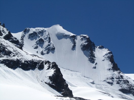 Gran Paradiso NW-face in excellent conditions ©Sanne