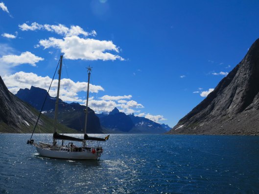 the sweets artic cruiser