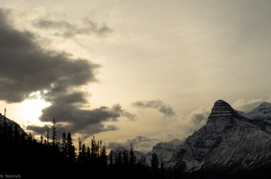 Mt. Chephren with the majestic "Wild thing"