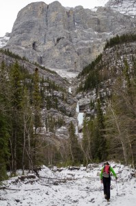 Approaching Professor falls