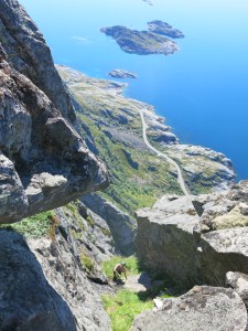 IMG_2433 gully scramble