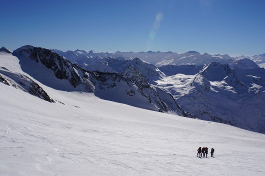 instijg wilder pfaff