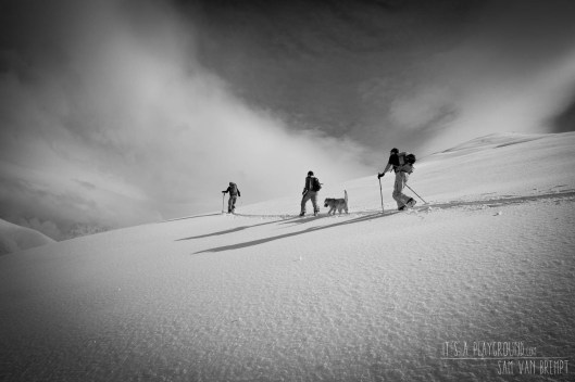 Verse sneeuw = sporen maar