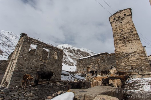 De echte inwoners van Ushguli