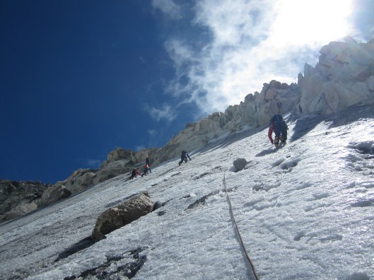 Noordwand Le petit tête blanche.