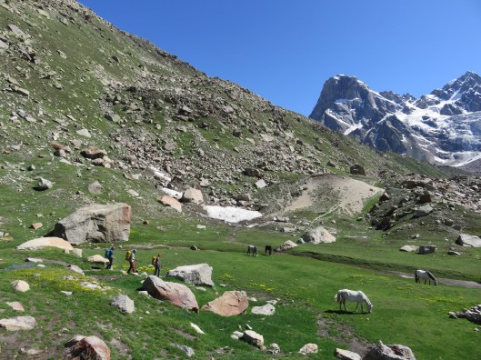 MC in wonderland ©Sanne