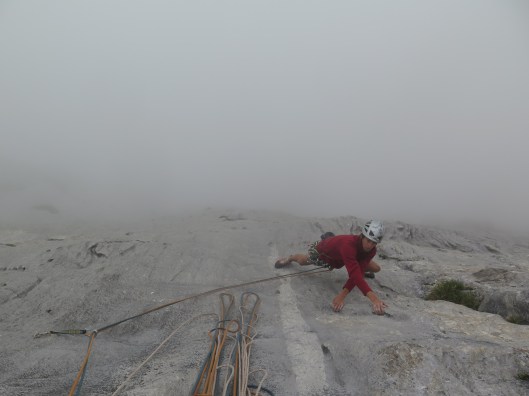 Sebastien In de voorlaatste lengte van Acacia
