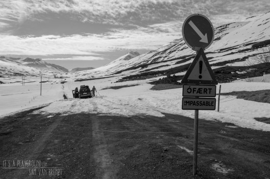 160415_ICEL_IMG_1386_LoRes