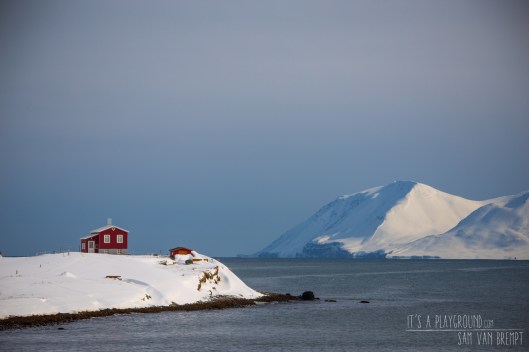 160419_ICEL_IMG_1748_LoRes