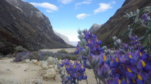 21768598_10214363488746502_5291328255170782192_o