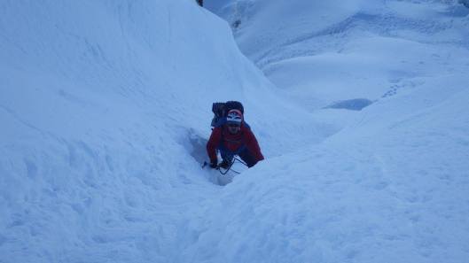 21768621_10214363482666350_1385633724759250199_o