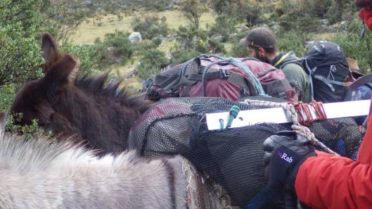 21949835_10214363488426494_410199194674335276_o