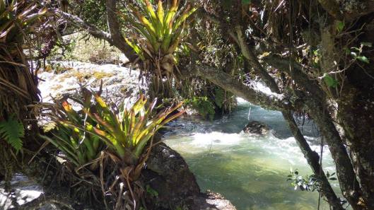 21950656_10214363477986233_7996188077721958443_o