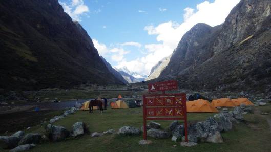 21992960_10214363480786303_6108957993754202451_o