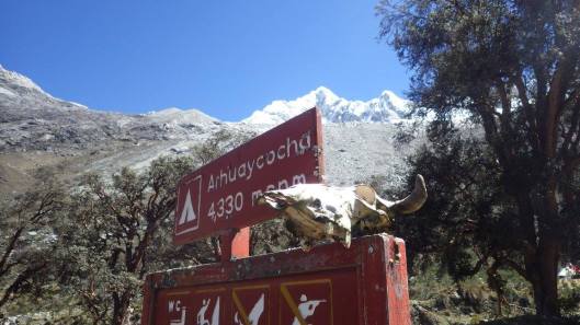 21994247_10214363474586148_2253005729926167497_o