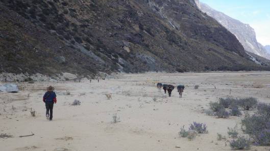 21994380_10214363488906506_5277707053100370275_o