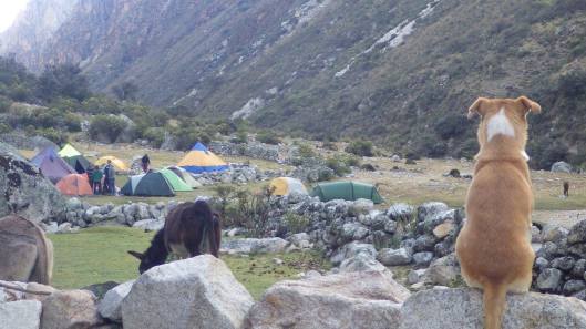 21994490_10214363492546597_5486228255238338125_o