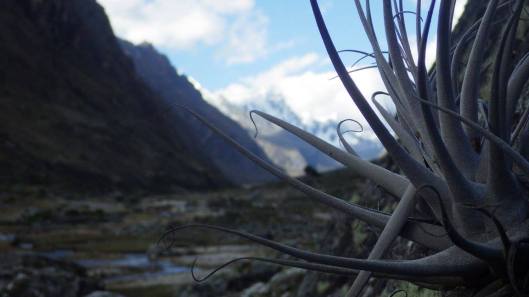 22047781_10214363458065735_5888632723270773231_o