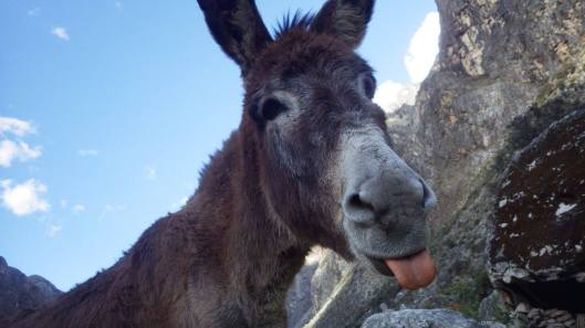 22096024_10214363473626124_3316436994396985945_o